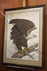 Bald Eagle Print