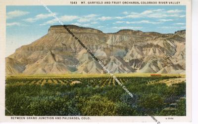 Mt. Garfield and Fruit Orchards