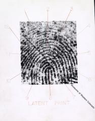 Fingerprints Comparison