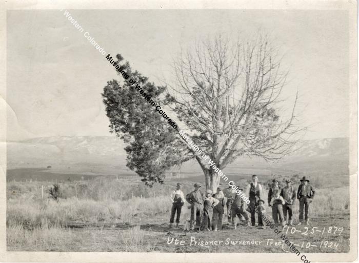 Ute Prisoner Surrender Tree