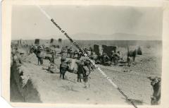 Postcard of Mule Train