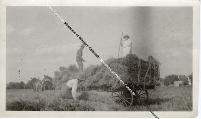 Men on Top of Flat Bed Wagon Loaded with Hay