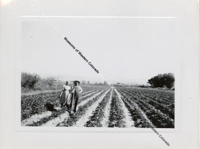  Man & Woman Standing in Crop Field