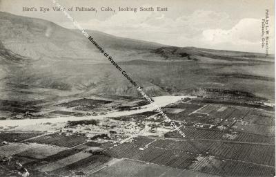 Postcard of Bird's Eye View of Palisade, Colo., looking South East
