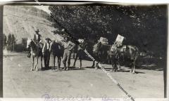 Pack Train, Palisade, "Better late than never"