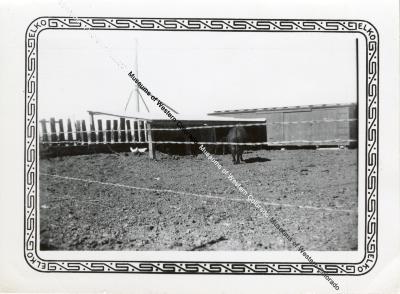 W.B. Howard's Mormon Haystacker and Angus Cow