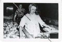 Woman Packing Peaches for United Fruit Growers Association