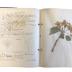 Herbarium Book