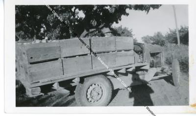 Truck with peach harvest