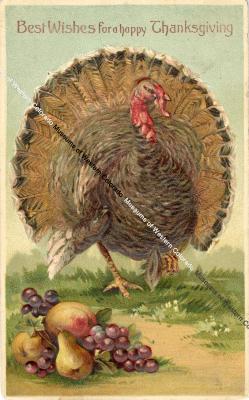 Thanksgiving Postcard from Harriet Schrum to Bert Mars