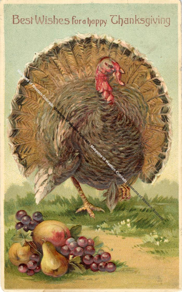 Thanksgiving Postcard from Harriet Schrum to Bert Mars