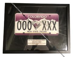 Mesa State College License Plate