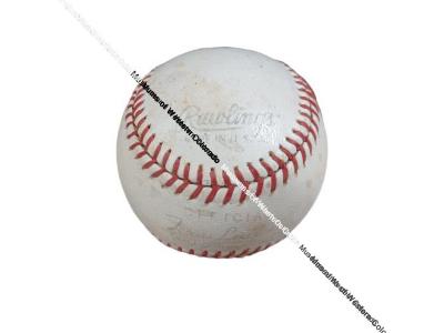 Rawlings Baseball