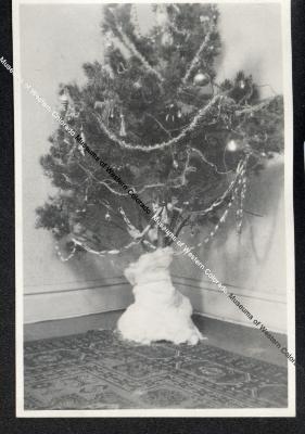 Anderson Christmas Tree