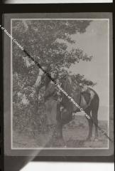 Jessie and her Horse, Photograph