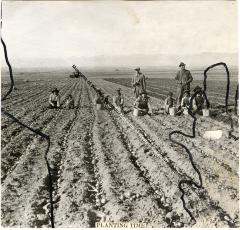 Photo of children and adults farming