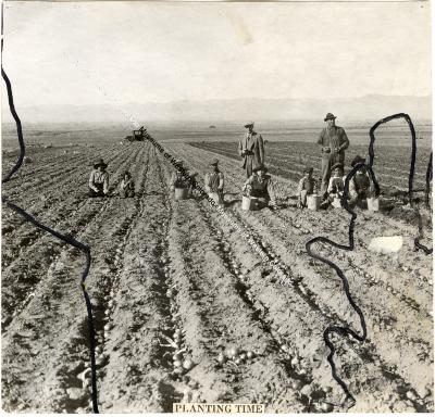 Photo of children and adults farming