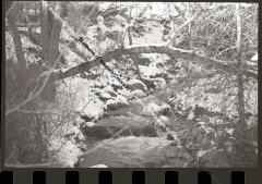 B&W photo of a wintry scene showing a branch over a creek.