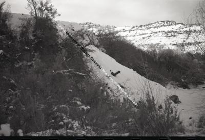 B&W photo of a wintry scene with bushes, trees, a steep side hill.
