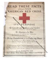 Red Cross Facts Poster