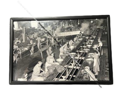 Photo of harvesting factory with workers