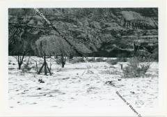 Photo of Lloyd Ranch winter landscape