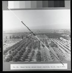 View of the orchards