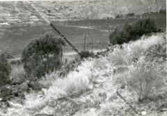 Photo of Harlow's rock wall