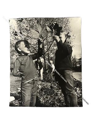Photo of children with leaves 
