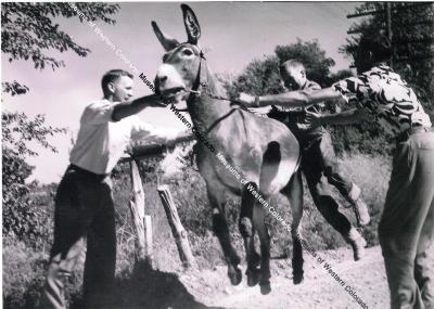Photo of Jackie the burro and three individuals
