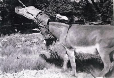 Photo of Jackie the burro and Charles the boy