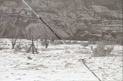 B&W photo of Lloyd Ranch - a wintry landscape in the lowlands with trees and mountains.
