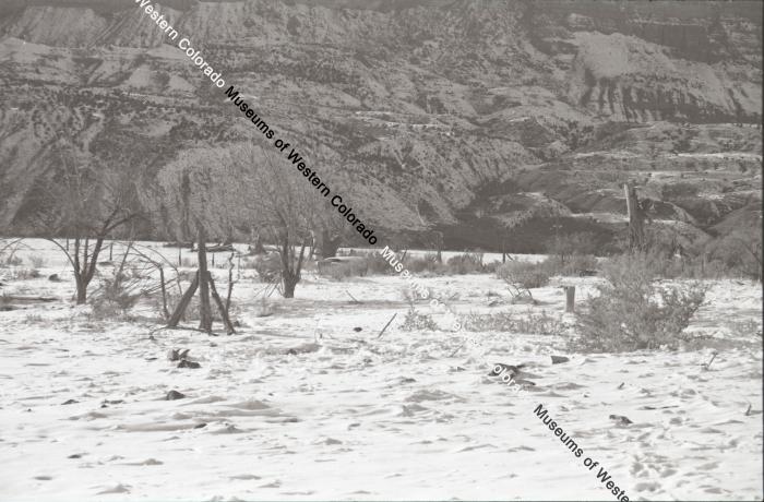 B&W photo of Lloyd Ranch - a wintry landscape in the lowlands with trees and mountains.