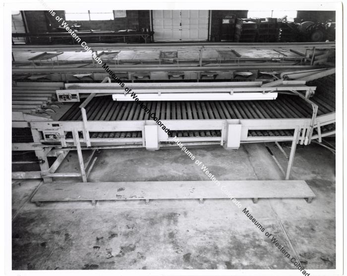 Warehouse Conveyor Belt