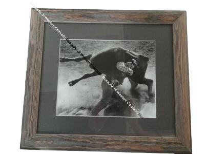 Black and white photo of person steer wrestling