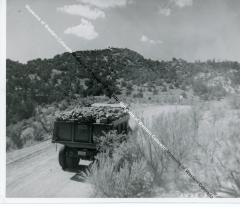 Back of truck with ore load