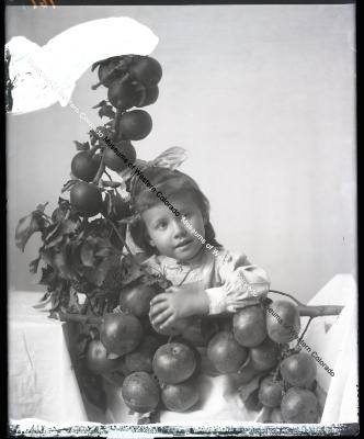 Photo of a girl and her apples