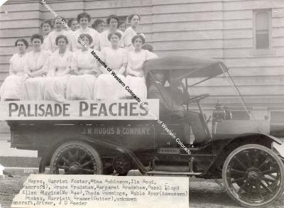 Photo of Palisade Peach Float