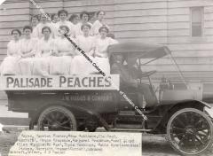 Photo of Palisade Peach Float