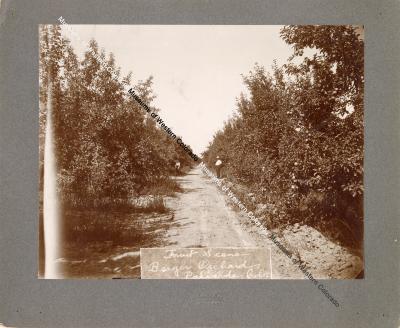 Photo of Berger Orchard