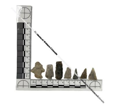 4 Projectile Points and 9 Projectile Point fragments