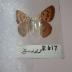 Purplish Copper (Butterfly) - Will Minor Collection