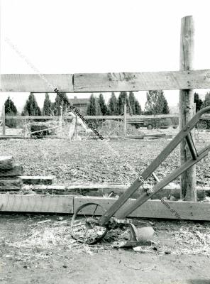 Photo of the Cross Orchards Animal Pen