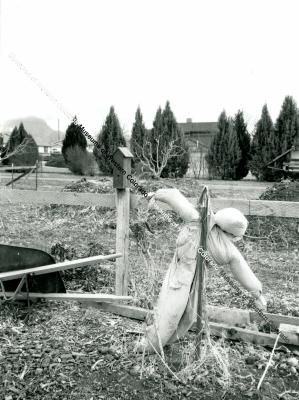 Photo of the Cross Orchards Animal Pen