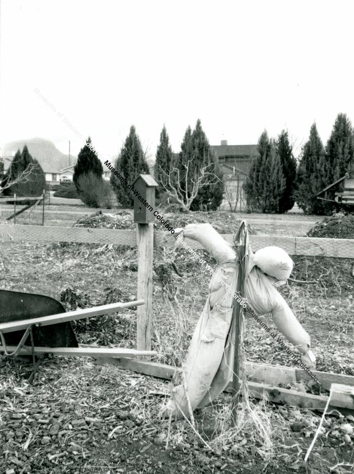 Photo of the Cross Orchards Animal Pen